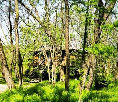 Porumbacu de Sus Ski Chalet | Porumbacu Treehouse