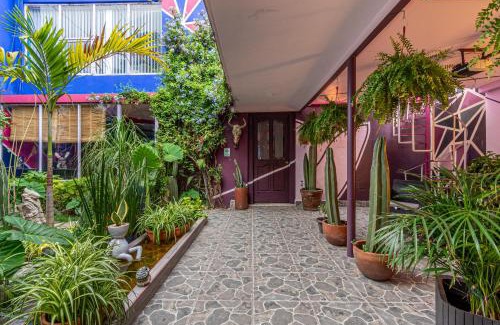 Militar Marte House | Posada Bugambilia