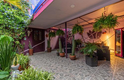 Militar Marte House | Posada Bugambilia