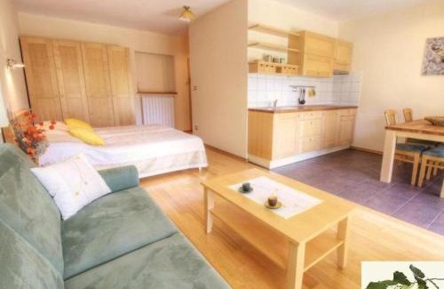 Nova Gorica Apartment | Posestvo Laz - The Laz Estate