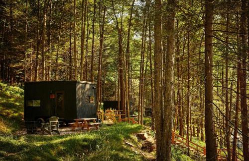 Town of Colchester Other | Postcard Cabins Western Catskills