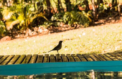 Itanhandu Hotel | Pousada Bonani