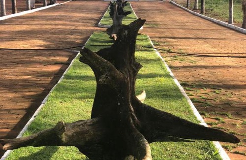 Boa Esperanca Hotel | Pousada Esperança