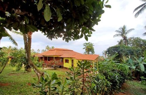 Principe Island Cabin | Pousadinha Mar Ave Ilha
