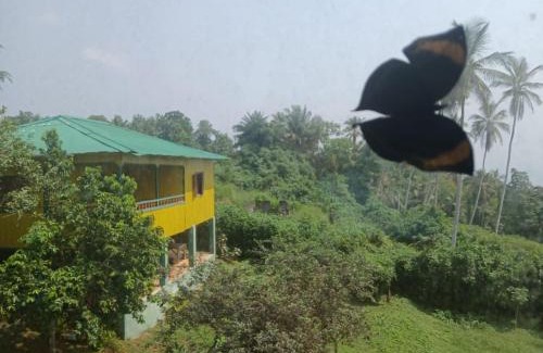 Principe Island Cabin | Pousadinha Mar Ave Ilha