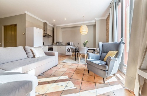 Barrio del Carmen Apartment | PR LOFT 1 HAB (1)