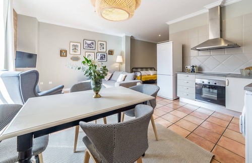 Barrio del Carmen Apartment | PR LOFT 1 HAB (1)
