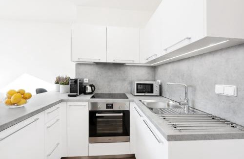 Vinohrady Apartment | Prague Roof Apartments