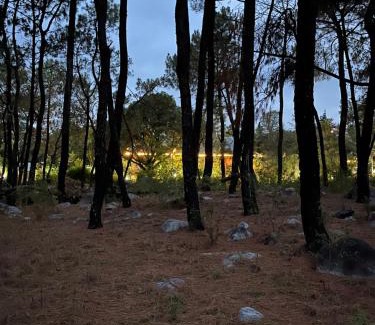 Sidhpur Resort | Prakriti Aalay - Riverside Mountain View Boutique Eco Resort