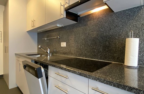 Sankt Alban House | Premium 3 Bedroom Apartment in Central Basel