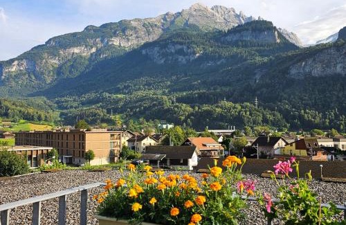 Meiringen Apartment | Premium Apartments - central & historical