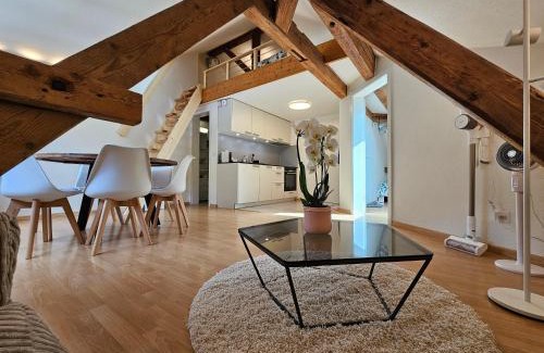 Meiringen Apartment | Premium Apartments - central & historical