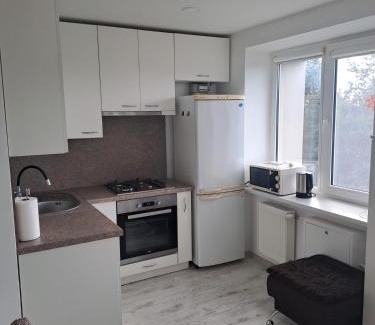 Birzai Apartment | Prie Agluonos