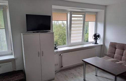 Birzai Apartment | Prie Agluonos