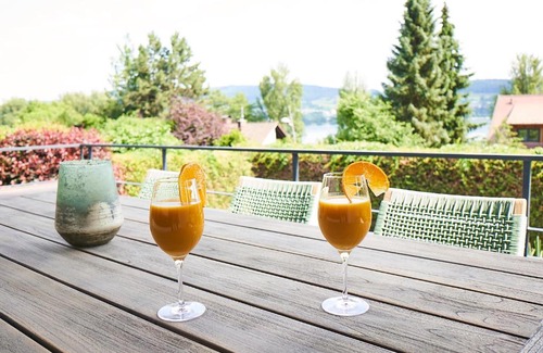 Gaienhofen Apartment | PRIMERA am See