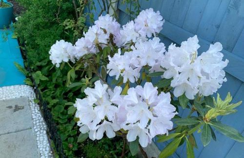 Colchester Bed & Breakfast | Prince Cottage