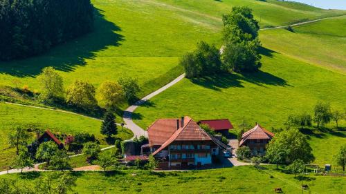 Muehlenbach Apartment | Prinzbachhof