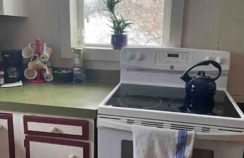 Plainwell Apartment | Private 1 bedroom apartment with private deck and sauna close to ski resorts