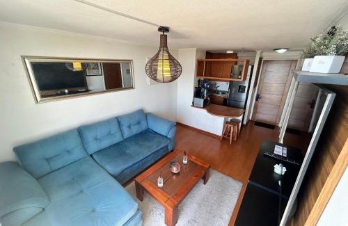 Bellas Artes Apartment | Private apartment in Santiago