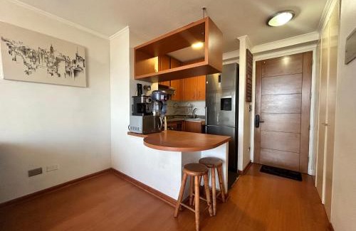 Bellas Artes Apartment | Private apartment in Santiago