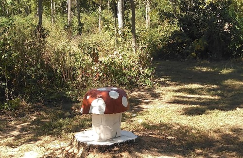 West Frankfort RV Rental | Private beach and pavilion