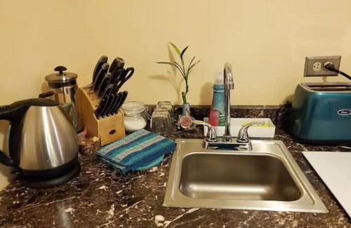 Presidio Heights Apartment | Private Charming Garden Guest Suite Presidio Hts.