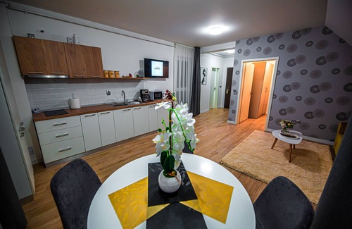 Cluj-Napoca Apartment | Private cozy attic in Cluj-Napoca central area !