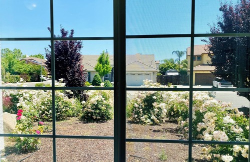 Raisin House | Private Entrance 1BR with a private Bath
