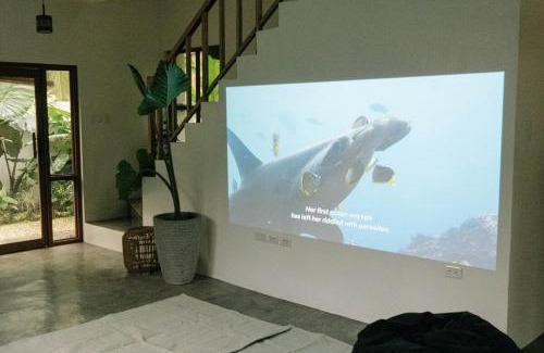 Dao House | Private home in Panglao near white beaches with 600 Mbps WiFi & Solar