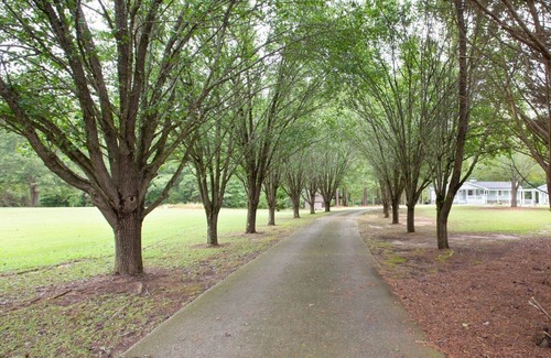 Conyers House | ✩ Private ✩ Horse Park ✩ Hot tub ✩ Ping-pong ✩ Foosball ✩ 4500 sqft ✩ Sleeps 20