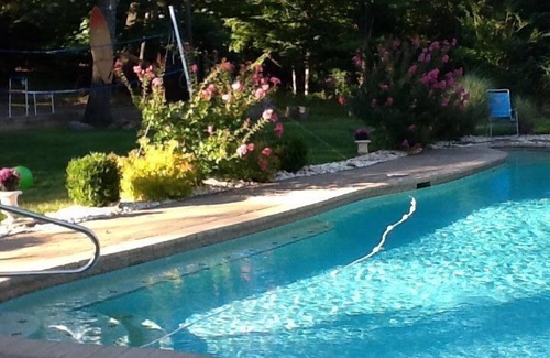 Montville House | Private Mansion Theater Hot Tub Grotto Cave And More. Outside use only !
