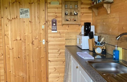 Sedlescombe Cabin | Private Quiet Cabin, overlooking Paddocks Vineyards and Pine Forest