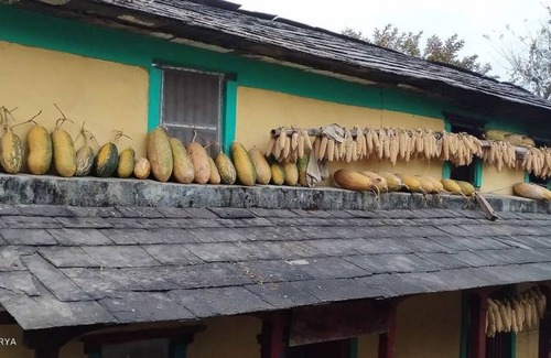 Baglung Resort | Private room ∙ 2 guests