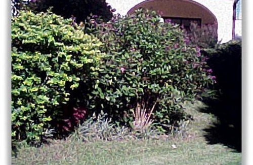 Wundanyi Resort | Private room ∙ 3 guests