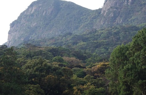 Nuwara Eliya Resort | Private room ∙ 3 guests