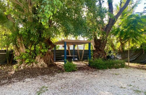 Little Haiti House | Private Rooms at Miami Centrally Located with free Parking
