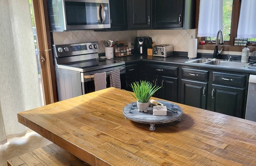 Mount Holly House | Private Rustic Chalet 5 min from Okemo Mountain