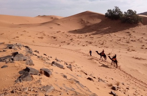 Merzouga RV Rental | Private tent & camel trekking