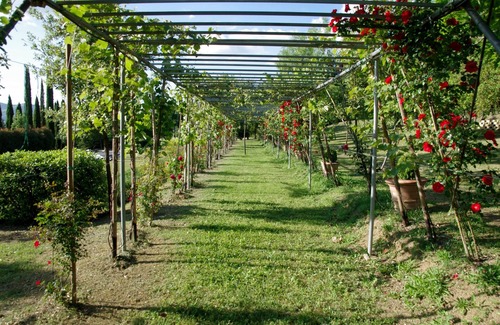 Corciano House | PROMOTION Leccino-Le Gorghe di Valmarino 5km from Perugia Swimming pool and WIFI