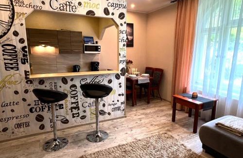 Bierutowice Apartment | Przycup w Karkonoszach Apartamenty - Apartament Karkonoska Karpacz Centrum Karkonosze Darmowy parking dla Gości apartamentu