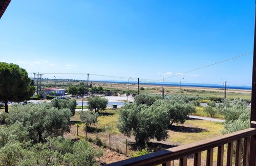Psakoudia Apartment | Psakoudia old olive trees apartment 50 m2 with 2 bedrooms and sea view