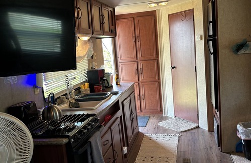 Florida Panhandle House | Puma in the Park