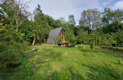 Telega House | Pumbaa House at Casa Twiga, Melicesti, Prahova, Romania