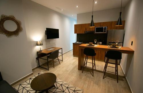 Coyoacan Apartment | Punto Lofts Periférico Sur