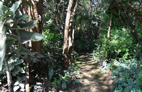 Thorny Bush Game Reserve House | Pure wilderness in Amanzimlotzi Riverside Bush Tent in Limpopo, Kruger Park