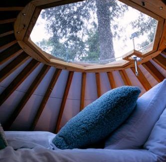 Arnold Creek Apartment | Purple City Retreats - Luxury Yurt & Spa