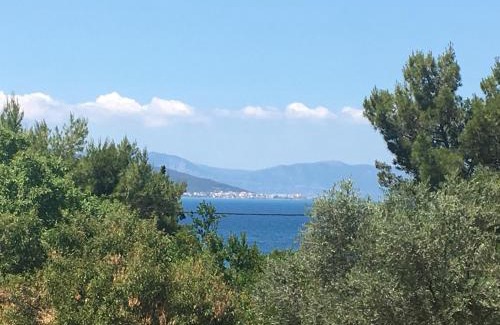 Aegina Town Apartment | PYRGOS RALLI ESTATE Guesthouse