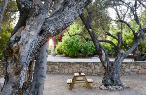 Aegina Town Apartment | PYRGOS RALLI ESTATE Guesthouse