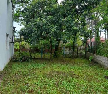 Magnetiti House | Qiwi House