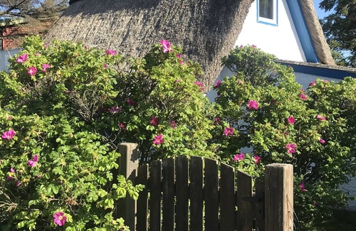 Kalifornien House | Quaint, thatched, former fisherman's cottage, 30 m from the beach